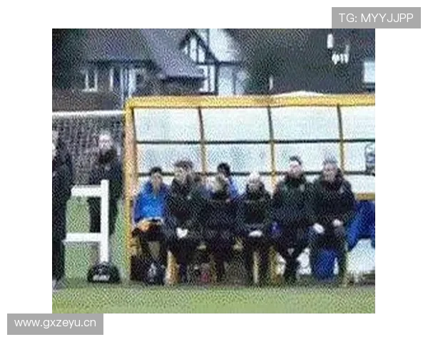 奥地利高压逼抢