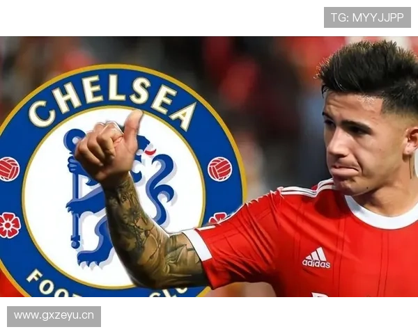 恩佐1.2亿欧元转会标王：身价合理性解析