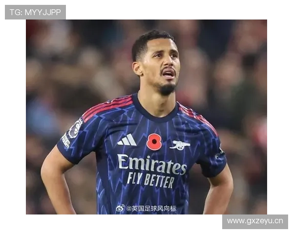 威廉·萨利巴：阿森纳防线核心解析