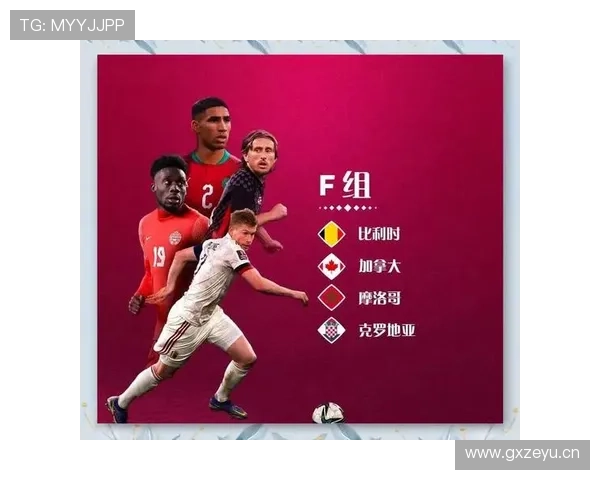 世界杯F组出线概率最新预测